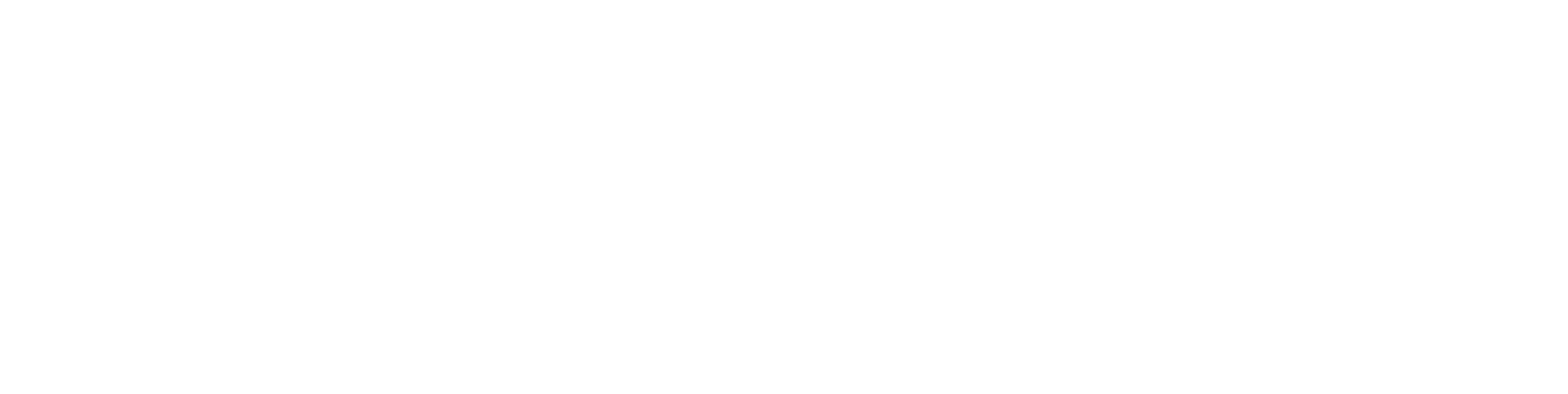 MIND Logo White